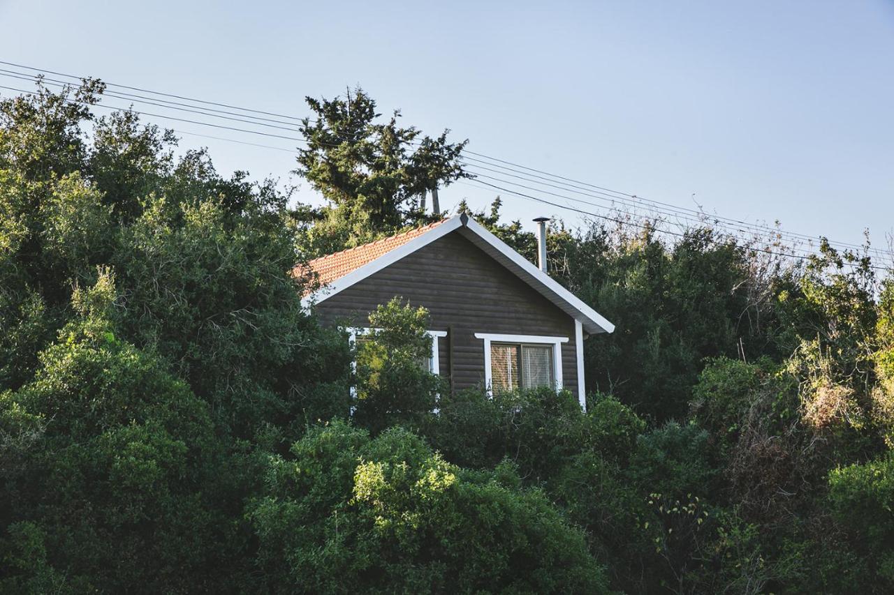 Live In The Woods Villa Mikhmannim Exteriör bild